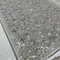 اقساط/ ماهی ۶ تومن