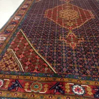 6 متری تک کرک گوشت دار