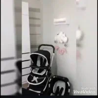 کالسکه|کالسکه و لوازم جانبی|نهاوند, |دیوار