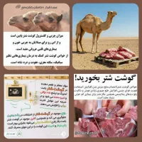 گوشت شتر|خوردنی و آشامیدنی|شبستر, |دیوار