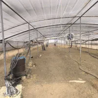 گلخانه|فروش دفتر صنعتی، کشاورزی، تجاری|خمین, |دیوار