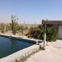 باغ گیلاس وبادام|فروش دفتر صنعتی، کشاورزی، تجاری|سامان, |دیوار