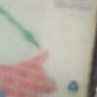 گم شدن کارت سوخت خودرو