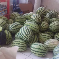 هندوانه درجه یک وبه شرط چاقو