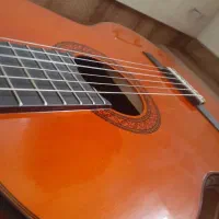 گیتار|گیتار، بیس، امپلیفایر|رشت, پیرکلاچای|دیوار