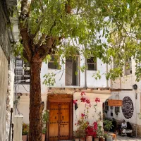 آموزش زبان حرفه ای برای تمامی سطوح