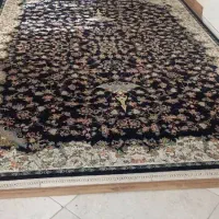 فرش کاشان در حد نو|فرش|قزوین, |دیوار