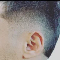 اصلاح سر و صورت با تخفیف ویژه|خدمات آرایشگری و زیبایی|شیراز, شهرک مطهری|دیوار