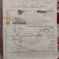 موتور سیکلت مدل 88 خانگی تمیز 125پلاک ملی|موتورسیکلت|داران, |دیوار