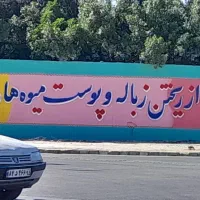 دیوار نویسی با کادری مجرب