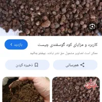 کود گوسفندی
