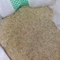 شلتوک لنجان زرین شهر|خوردنی و آشامیدنی|اصفهان, شاهزاده ابراهیم|دیوار