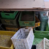 سبد محکم|ظروف نگهدارنده، پلاستیکی، یک‌بارمصرف|گرمسار, |دیوار
