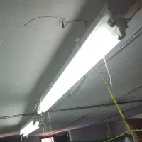مهتابی سقفی