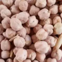 نخود دیمی بهاره۱۱۰