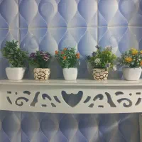 شلف تزئینی با گلدان هایش
