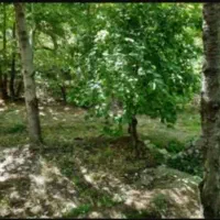 83متر زمین در سولقان