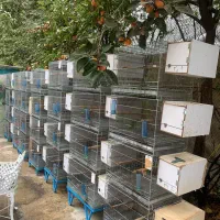 قفسه جفت خان تعداد 8جفت هر جفت 4 عدد|لوازم جانبی حیوانات|تهران, درکه|دیوار