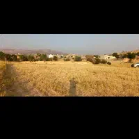 زمین کشاورزی