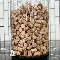چوب پنبه