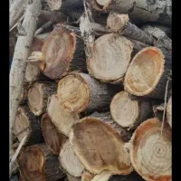 خرید انواع چوب ودرختان خشک وتر باقیمت نقد|خدمات باغبانی و درختکاری|آذرشهر, |دیوار