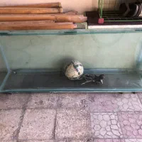 اکواریم سایز بزرگ