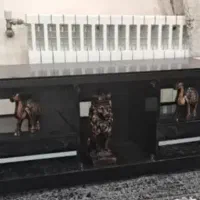 فرش 12متری نووکناره فرش نو|فرش|شیراز, لاله|دیوار