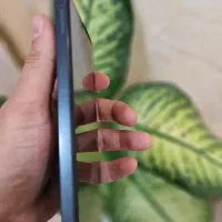 A15 Ram6 128Gib|موبایل|فردیس, شهرک ۱۱۰|دیوار