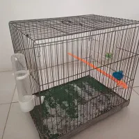 قفس پرنده