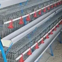 قفس مرغ منبری