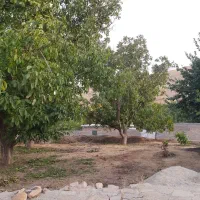 باغچه|فروش زمین و ملک کلنگی|سلطانیه, |دیوار