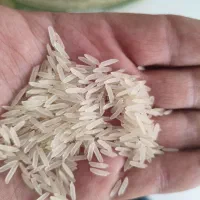 برنج دانه بلند هندی