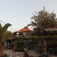 استخدام سالندار و منقل دار