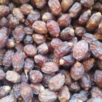 خرما زاهدی به قیمت عمده|خوردنی و آشامیدنی|قم, شهرک قدس|دیوار