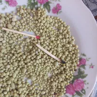 کود تخصصی  برنج . چغندر . ذرت . جالیز . سیب زمینی|خدمات باغبانی و درختکاری|ایلام, |دیوار