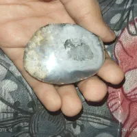 سنگ شجر|جواهرات|پرند, فاز ۴|دیوار