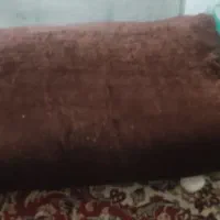 تشک یک و دونفره با روکش مخمل