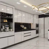 کابینت شرایط ویژه