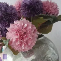 ۱۴ عدد شاخه ۳۵۰ هزار