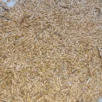 جو طارم|لوازم جانبی حیوانات|گیلوان, |دیوار