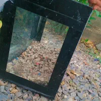 اکواریوم|ماهی|آق قلا, |دیوار