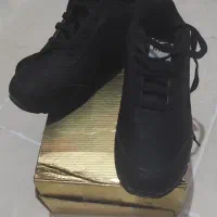 سه عددکتونی|کیف، کفش، کمربند|خورموج, |دیوار