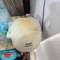 آکواریوم|ماهی|تبریز, |دیوار