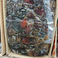 خرما کبکاب دشتستان