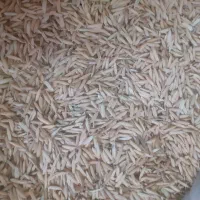 بذرندا درجه یک