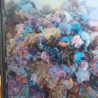 الیاف|رختخواب، بالش، پتو|باوله, |دیوار