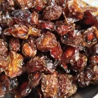 آلوخورشتی امساله باغ خودمون|خوردنی و آشامیدنی|قم, پردیسان|دیوار