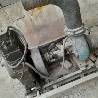 مارگو شش اینج