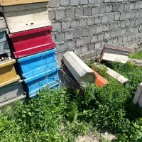 قوطی وسبد زنبورعسل دحدنو