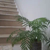 منزل ویلایی دوبلکس